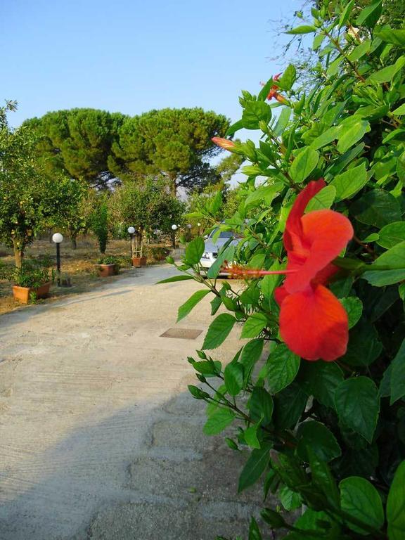 "Green" B&B Il Bracco Partinico Exterior foto