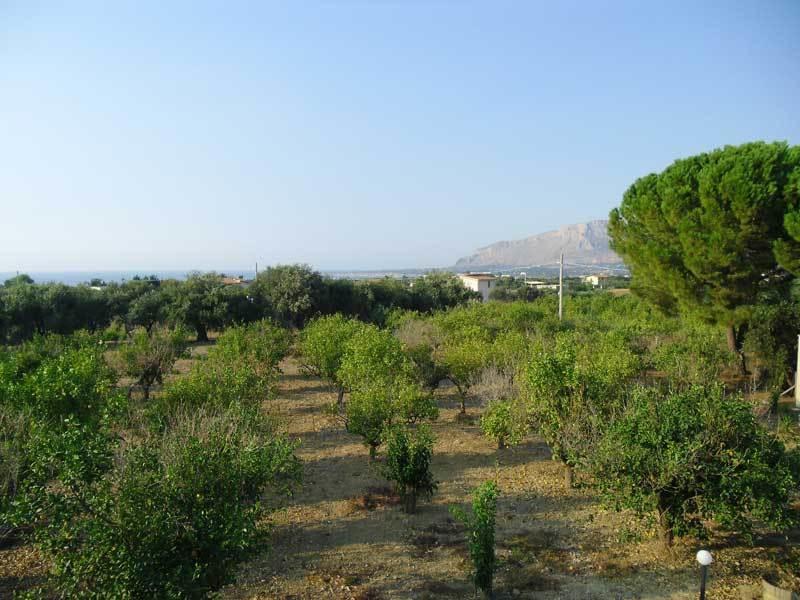 "Green" B&B Il Bracco Partinico Exterior foto